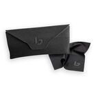 SOURCE, Gun Matte-HD Polarized Axis, hi-res image number null